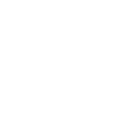 Marketing – Igor Neumann